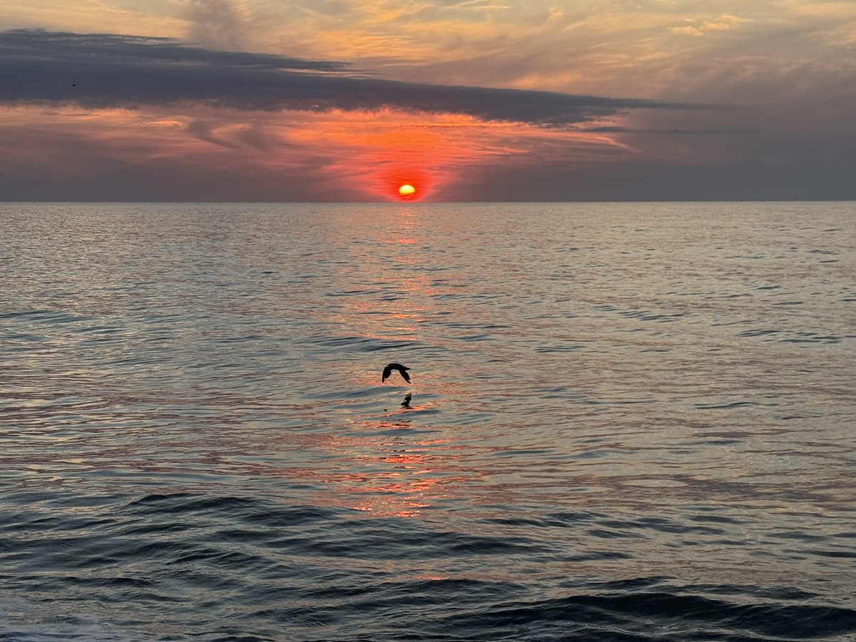 StewartVerdery's tweet image. Beautiful sunrise over Dewey Beach @capitalweather @StormHour @ThePhotoHour @dcstormchaser @PoPville