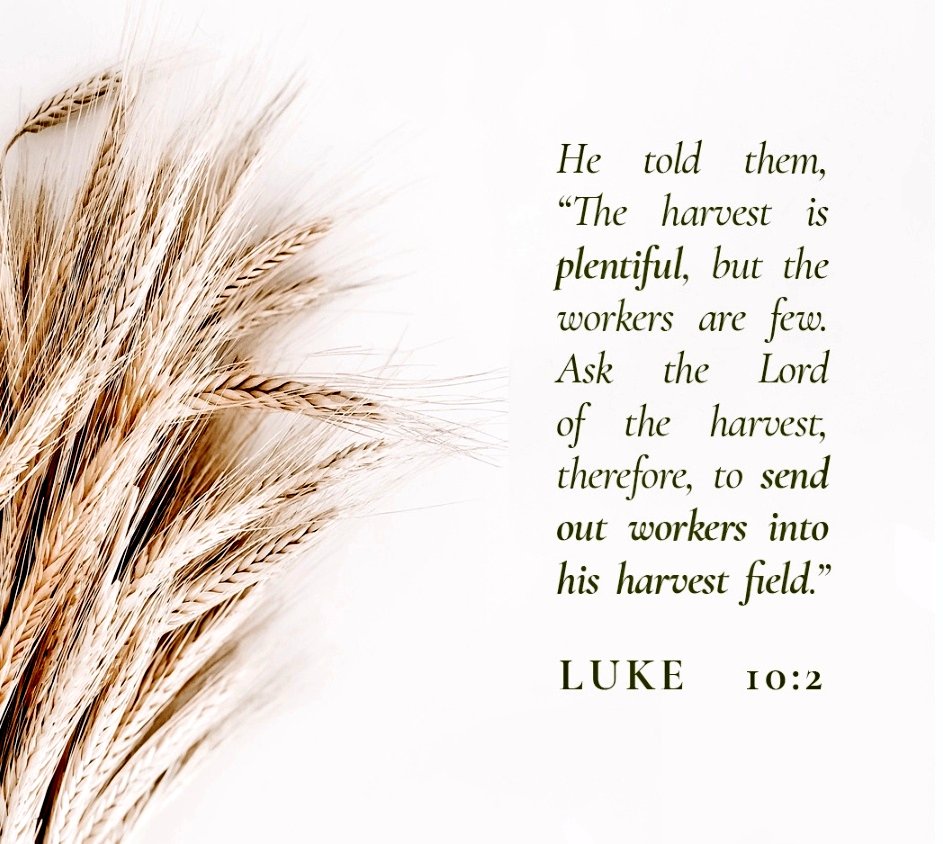 srgchs's tweet image. #14thSundayOrdinaryTime Gospel: Luke 10:1-12, 17-20 Jesus sends out disciples to share in his ministry #LearningtogetherinChrist 💙🙏