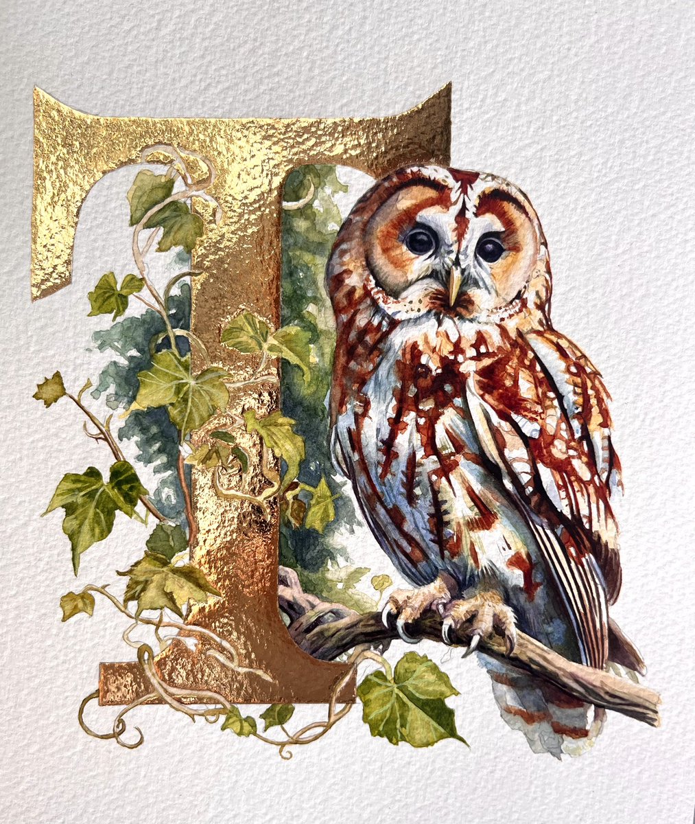 🦉
‘T’ is for Tawny Owl
Watercolour, gouache and 24k gold
28 x 21 cms
By Sheila Wallis, 2025