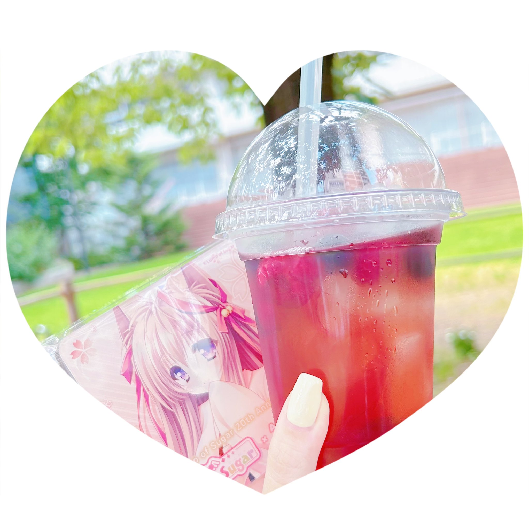paradise、AKIHABARA BENTOコラボ、アヅマの のぼり