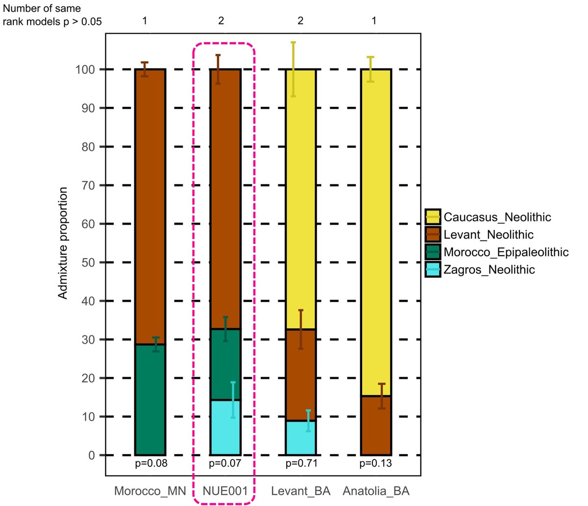 الجـيـنـوم الأثــري ❲ض❳ tweet media