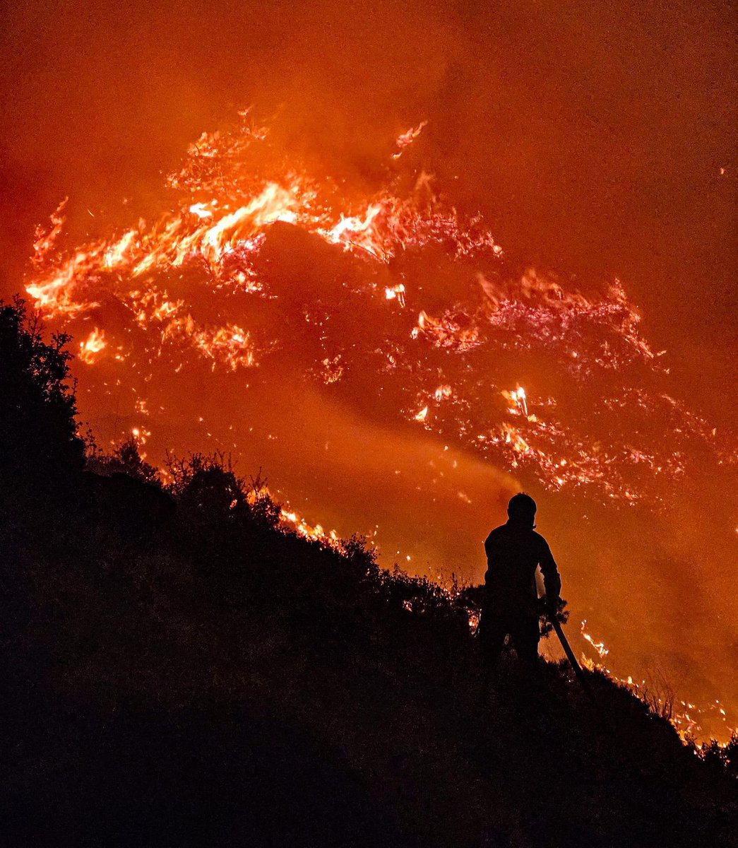 Orman yangınlarıyla  mücadelede Kızılçam ağacının yerine Zeytin ağacı dikmeyi tartışmak,
Kanserle mücadelede sigara içmeyi değil de Akciğerin sigaraya karşı dayanıksızlığını tartışmaya benzer.
Ne bilimsel ne de mantıksal hiçbir geçerliliği yoktur.
Ağzı olan konuşuyor işte.