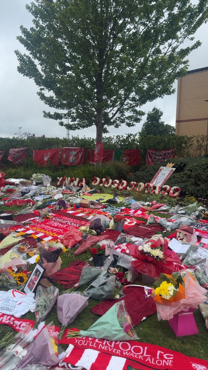 fintaggart10's tweet photo. Heartbreaking that💔He took us to victory. RIP Diogo and Andre, YNWA❤️💙 https://t.co/Xl4blblPzE