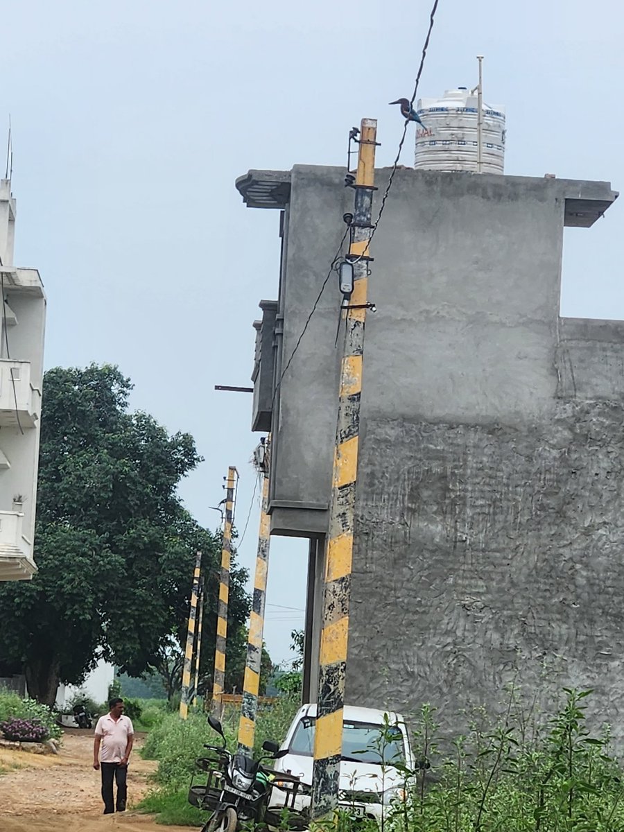 UPNewsHub's tweet photo. #shamli झिंझाना नगर पंचायत से बाहर कालोनी मे लगाई गई चैयरमेन द्वारा लाइट।पंचायत के ट्रांसफार्मर से दी गई लाइट।नगर पंचायत द्वारा भरा जा रहा लाइटों का बिल।जबकि यह क्षेत्र नगर पंचायत के अंदर आता ही नहीं।सरकार को लगाया जा रहा चूना। @dm_shamli @myogiadityanath @UPGovt @PVVNLSHAMLI https://t.co/ZMdmUZQgR2