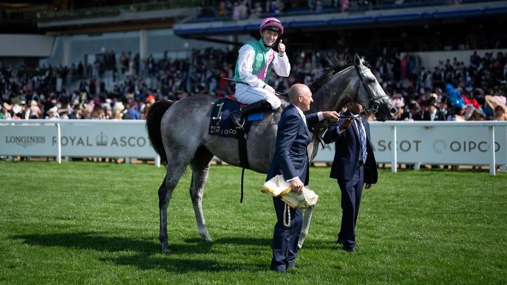 Colin Keane on Field Of Gold:

"I couldn't believe the way he lobbed down to the start, he was so relaxed. He was so straightforward from the second I hopped on his back. That was the thing that surprised me most about him that day, just how straightforward he was.

"He was very