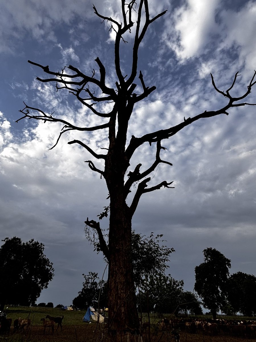 Mohan Pargaien IFS🇮🇳 tweet media