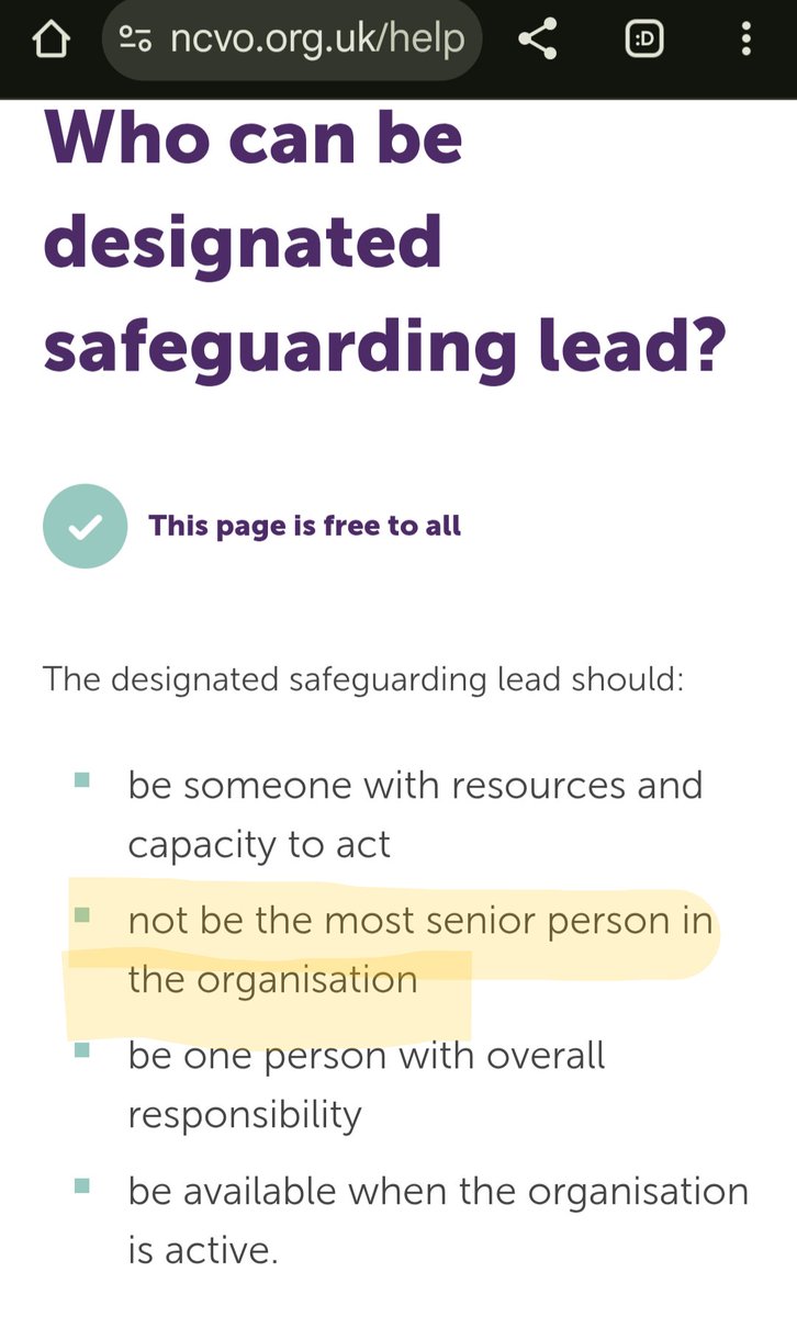 They specify the CEO should act as the designated safeguarding lead. 

I don't think this is good practice.