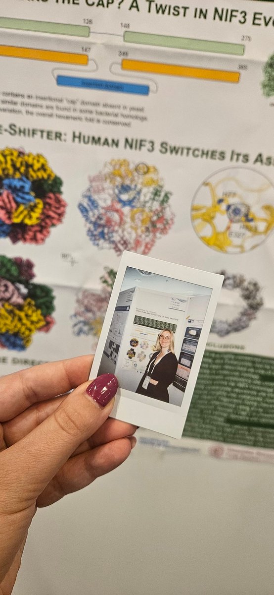 Do you want to hear a story about mysterious protein with no function described? Come to my poster P-18-027 at #FEBS2025.