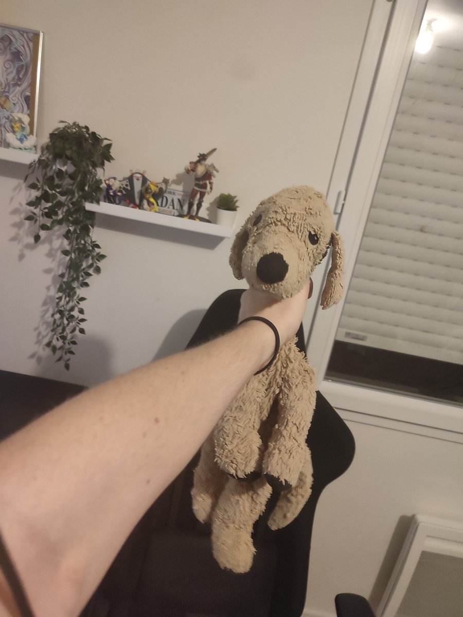 CIAO kombucha Emilien