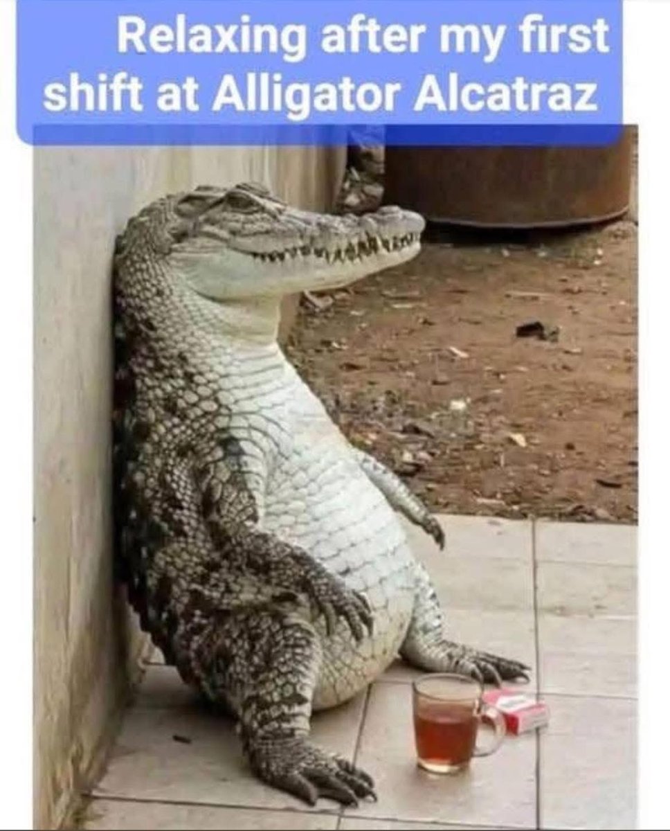 😂