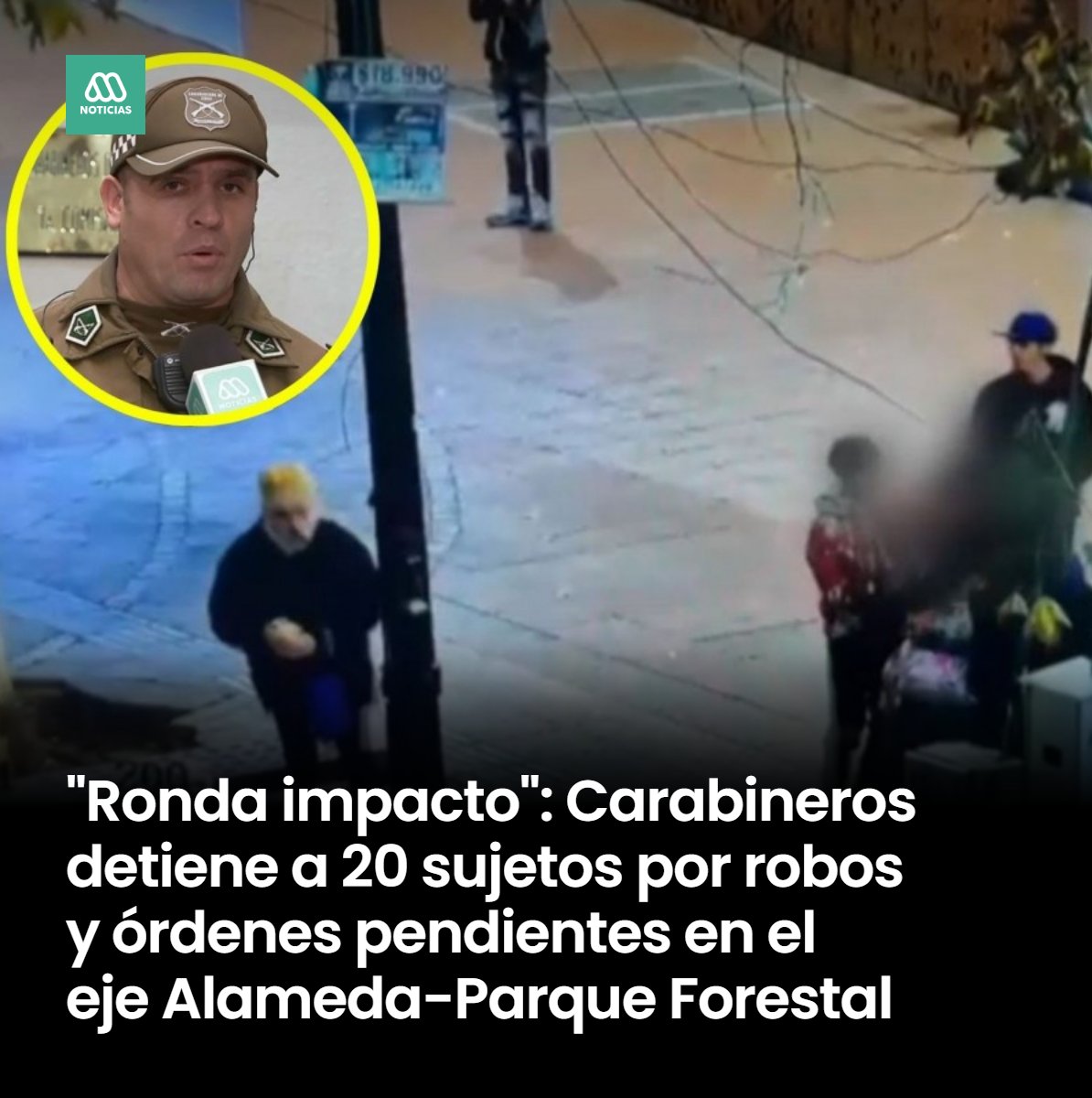 Según informó el teniente coronel de Carabineros, Gonzalo Febré, se trata de 19 ciudadanos chilenos y uno boliviano. Se investiga vínculo con la banda llamada la Jauría.