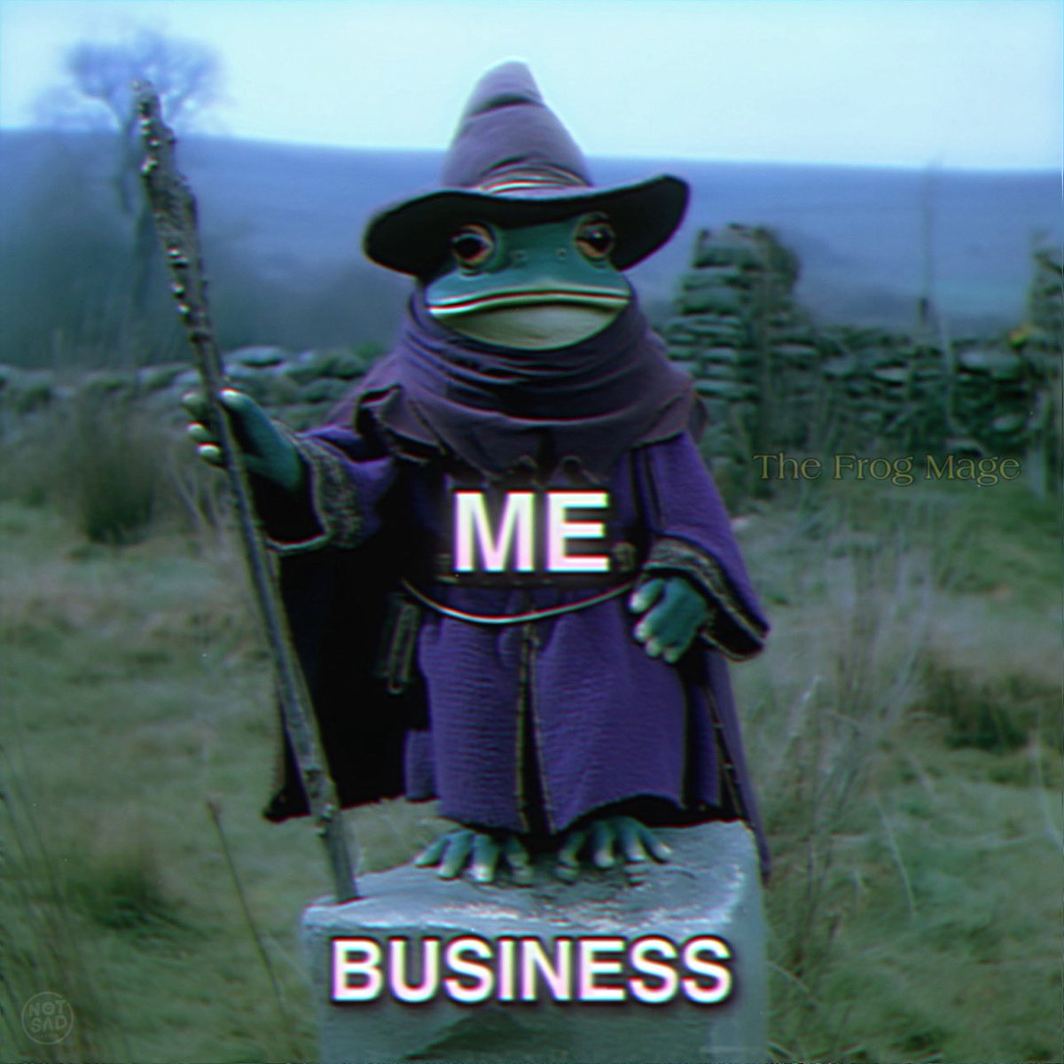 The Frog Mage (@the_frog_mage) on Twitter photo 