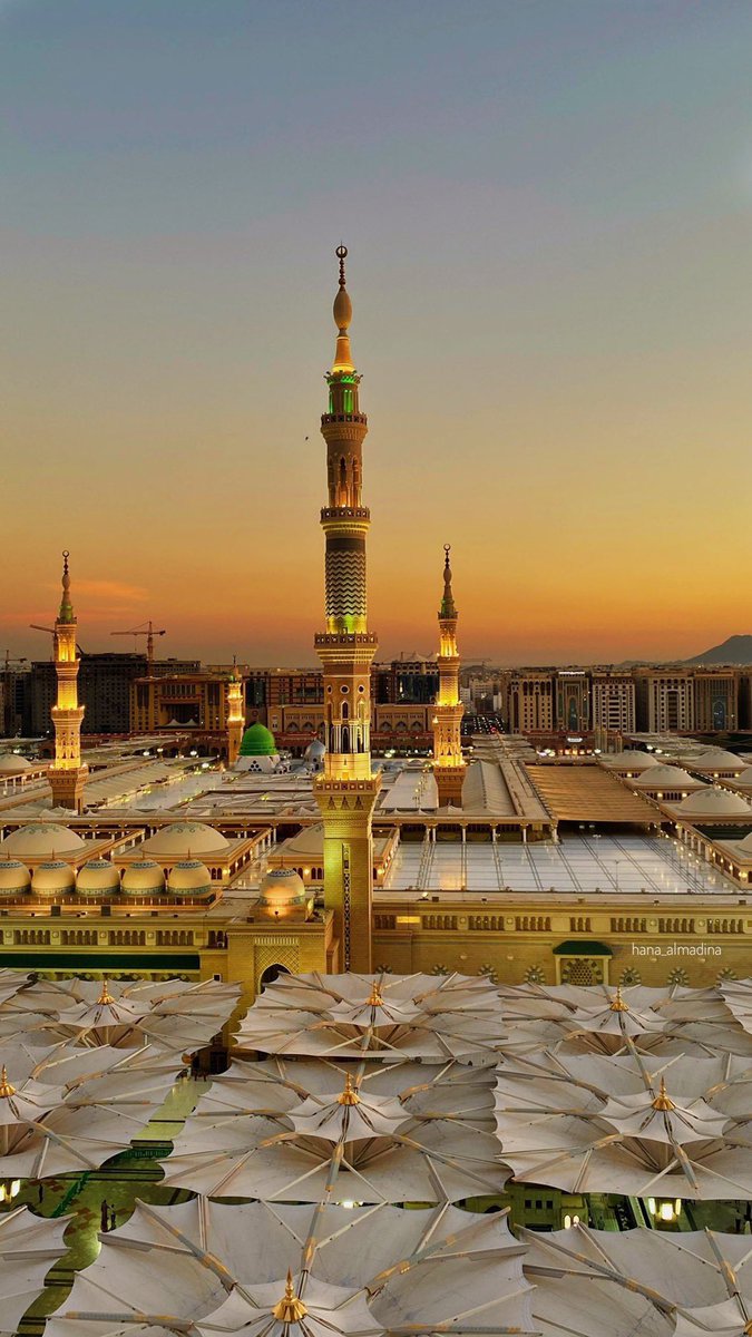 تحدثني عن حب أرض وأنت لم تجرب سكن المدينة ، لا تحدثني عن راحة الروح وأنت لم تجرب روحانية المدينة ، لا تحدثني عن اشتياق وأنت لم تجرب أن تشتاق إلى المدينة وأنت فيها ...