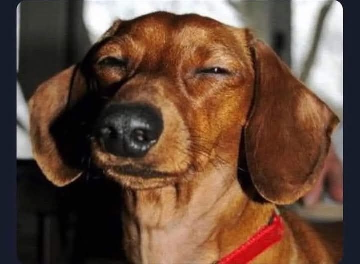 Ukiona wale wasee waliku-unfollow,wamefollow small wig fulani..