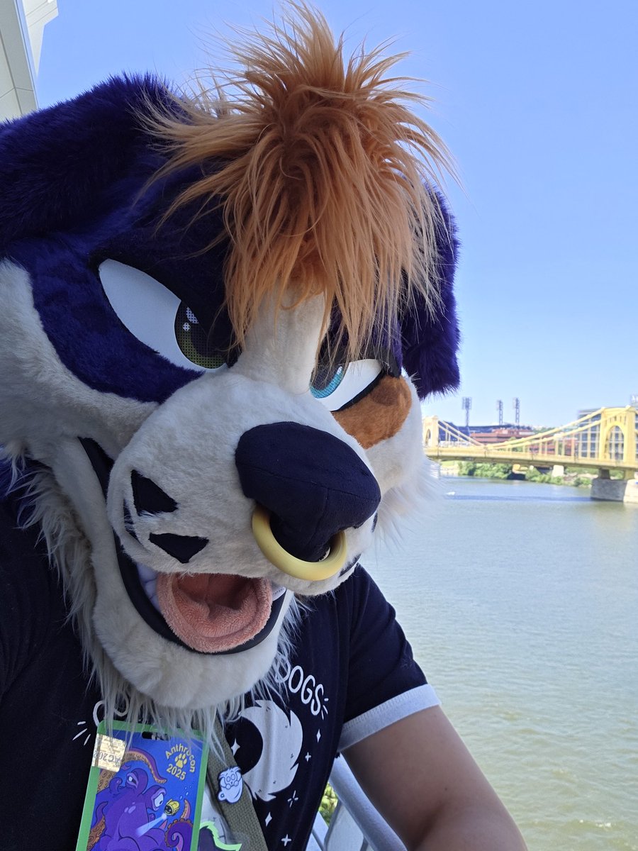AussieFluffButt's tweet image. Puppy is awake an ready for the day