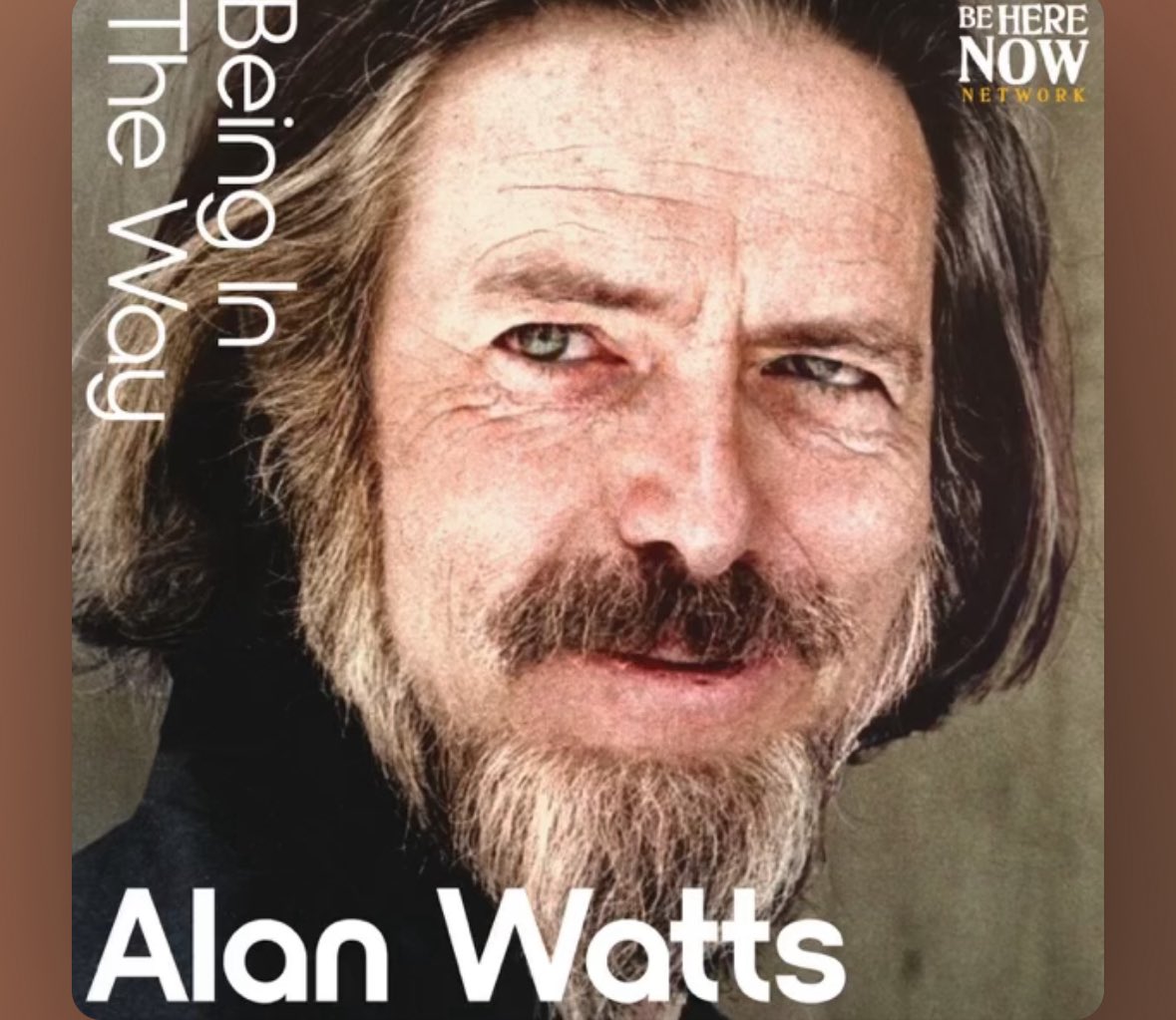 Starting at 5:30 (skip ads)
ep.29 Philosophy of the Tao
podcasts.apple.com/us/podcast/ala…