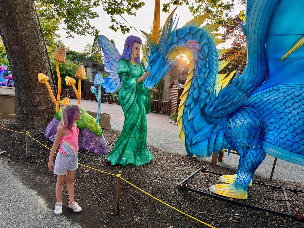 mjarboe's tweet image. We had so much fun at the Asian Lantern Festival at @clemetzoo last night.