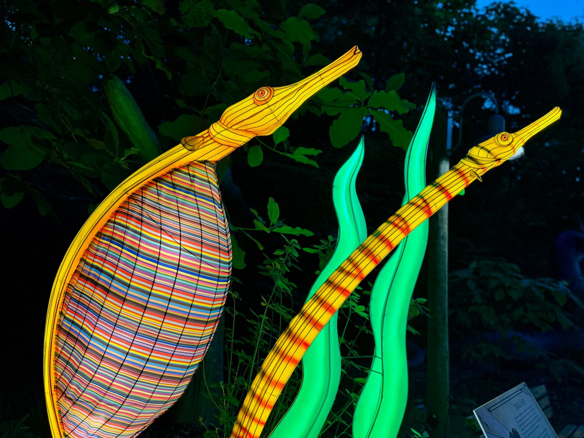 mjarboe's tweet image. We had so much fun at the Asian Lantern Festival at @clemetzoo last night.