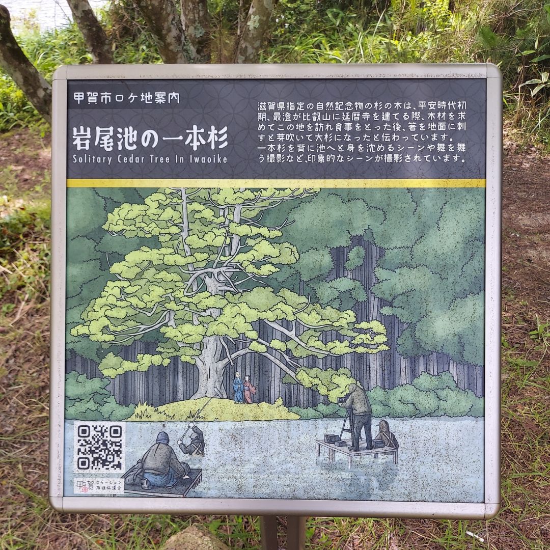 lenten_monkey's tweet photo. 岩尾池の一本杉
すごく神秘的な感じがします https://t.co/PTU5m53MbZ