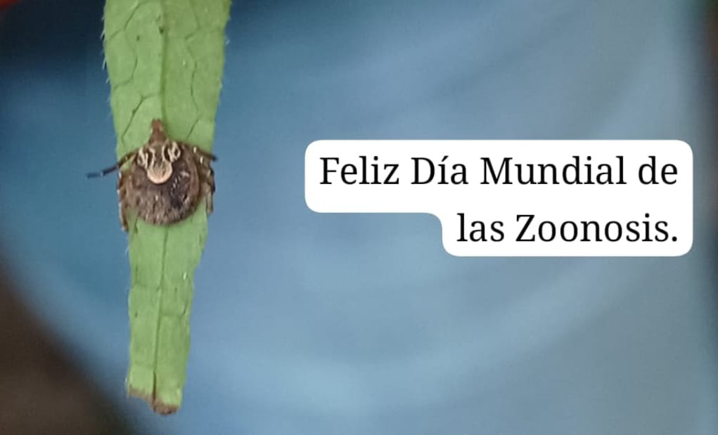 Grupo de Estudios con Ectoparásitos (GEE) (@ectoparasitos) on Twitter photo 