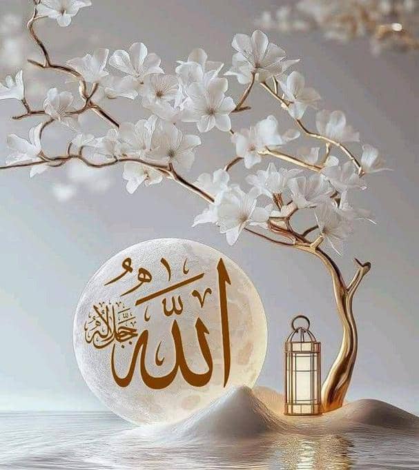موږ  الله تعالی لرو له الله تعالی . .....☝️
وروسته موږ هيچا ته اړتيا نه لرو .....☝️ 
وسلام  ......................🫵✋

🌹🌹🌹🌹🌹🫵🌹🌹🌹🌹🌹🌹