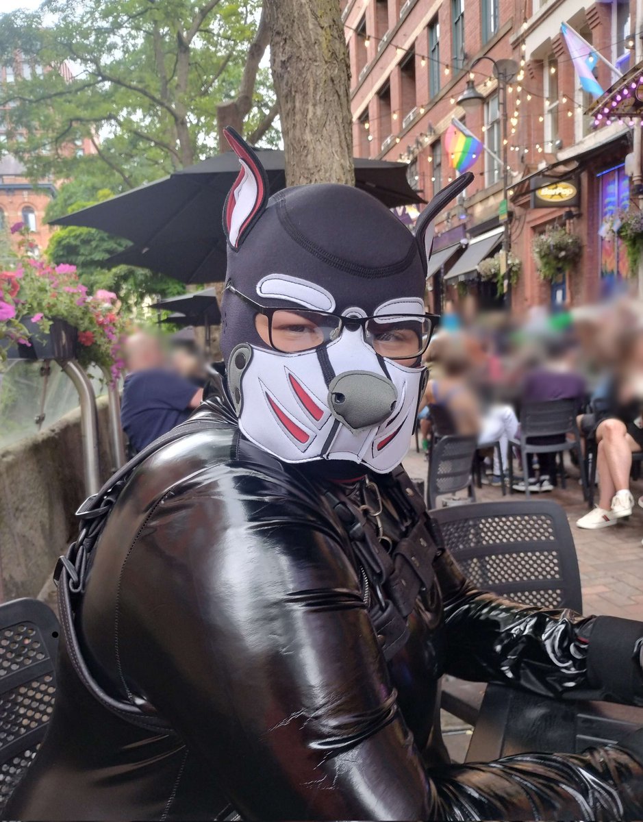 ✩🌴Mutt_Spike🌴✩ tweet media