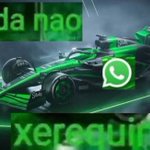 Photo by Lara | GABRIEL BORTOLETO F1 DRIVER 🇧🇷🙏 (@LObr08)