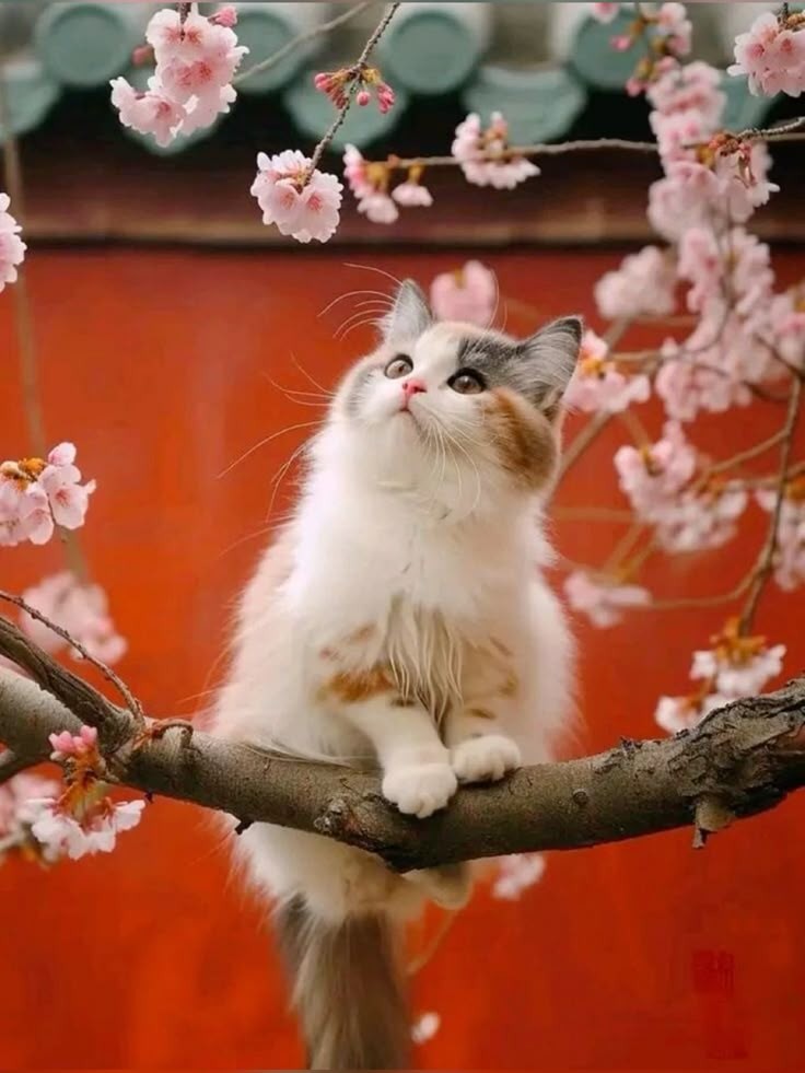 AňԀяєa し.❥ ∞ (@vilaandrealili1) on Twitter photo ♡հҽӀӀօ♡* ૂི•̮͡• ૂ ྀෆ⃛﹡೫٭ॢ*⋆♡⁎೨ ♡⃛ෆ͙⃛ ॢ٭ॢ*⋆♡⁎೨
#Munee 💖 #Infinity 😽
<a href="/V71117V/">VIIIIVI</a> <a href="/bella_xp/">ღBellaღ</a>
<a href="/MarcelaErcia/">🕉MARCE🐉⚖ #MarceTeAyuda🔮#MarceLive🔄 Meme y Popi</a> <a href="/DjLavr0v/">DJ Lavr0v 🇷🇺</a>
<a href="/_MaryEly_/">💛 𑜞᭄ MaryEly🌻</a> <a href="/Luca25ita/">༄᭄𝐿ucas ҉ #𝙇𝙤𝙫𝙚&𝙋𝙚𝙖𝙘𝙚𓅃</a>
<a href="/nunespereirabr/">𝑀𝑎𝑟𝑖𝑎 𝒥𝑜𝑎𝑜</a>
<a href="/MichaelSDoyle/">Michael Doyle</a> <a href="/msennna/">𝓜𝓪𝓾𝓻𝓸 🇧🇷 22 🇧🇷</a>
<a href="/florchicana/">Selene 𝕏🖤Perfectly imperfect 🖤❌DM❌</a> <a href="/DenizRtprensesi/">Deniz Yüksel</a>
𝑻𝒉𝒂𝒏𝒌𝒔 𝒇𝒐𝒓 𝒚𝒐𝒖𝒓 𝒌𝒊𝒏𝒅𝒏𝒆𝒔𝒔 🙏🏼🩷 ♡հҽӀӀօ♡* ૂི•̮͡• ૂ ྀෆ⃛﹡೫٭ॢ*⋆♡⁎೨ ♡⃛ෆ͙⃛ ॢ٭ॢ*⋆♡⁎೨
#Munee 💖 #Infinity 😽
<a href="/V71117V/">VIIIIVI</a> <a href="/bella_xp/">ღBellaღ</a>
<a href="/MarcelaErcia/">🕉MARCE🐉⚖ #MarceTeAyuda🔮#MarceLive🔄 Meme y Popi</a> <a href="/DjLavr0v/">DJ Lavr0v 🇷🇺</a>
<a href="/_MaryEly_/">💛 𑜞᭄ MaryEly🌻</a> <a href="/Luca25ita/">༄᭄𝐿ucas ҉ #𝙇𝙤𝙫𝙚&𝙋𝙚𝙖𝙘𝙚𓅃</a>
<a href="/nunespereirabr/">𝑀𝑎𝑟𝑖𝑎 𝒥𝑜𝑎𝑜</a>
<a href="/MichaelSDoyle/">Michael Doyle</a> <a href="/msennna/">𝓜𝓪𝓾𝓻𝓸 🇧🇷 22 🇧🇷</a>
<a href="/florchicana/">Selene 𝕏🖤Perfectly imperfect 🖤❌DM❌</a> <a href="/DenizRtprensesi/">Deniz Yüksel</a>
𝑻𝒉𝒂𝒏𝒌𝒔 𝒇𝒐𝒓 𝒚𝒐𝒖𝒓 𝒌𝒊𝒏𝒅𝒏𝒆𝒔𝒔 🙏🏼🩷