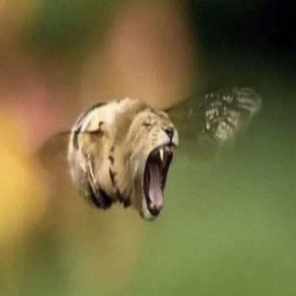 HULKENBUUUUUUUUUUURG