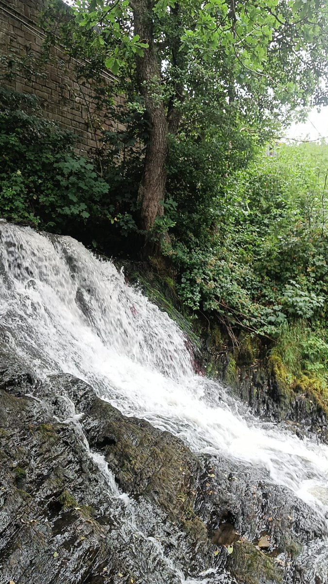 Bert Vaandel tweet media