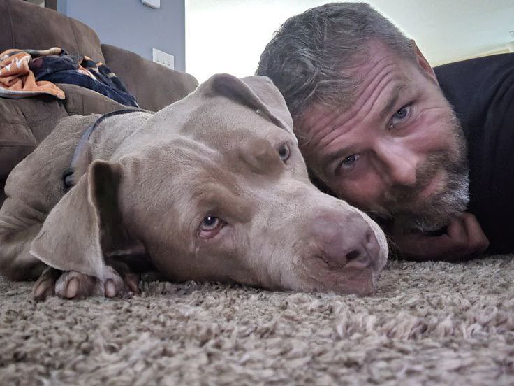 Tim_Bryan_'s tweet photo. Just me and my favorite company this Sunday 🐾🧘‍♀️
The calm life’s good… still saving space for one more 💭
#SundayVibes #DogDays #QuietCompany https://t.co/AhUQHIsUkE