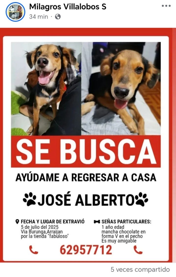 BELLEZA EXTRAVIADA
AYUDEMOS A ENCONTRARLO
POR FAVOR 🙏🏽🙏🏽🙏🏽
COMPARTAMOS ESTE MENSAJE!!!!❤️🇵🇦
Atención Arraijan