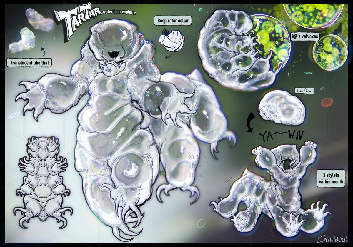 sumiaou's tweet image. waterbear design