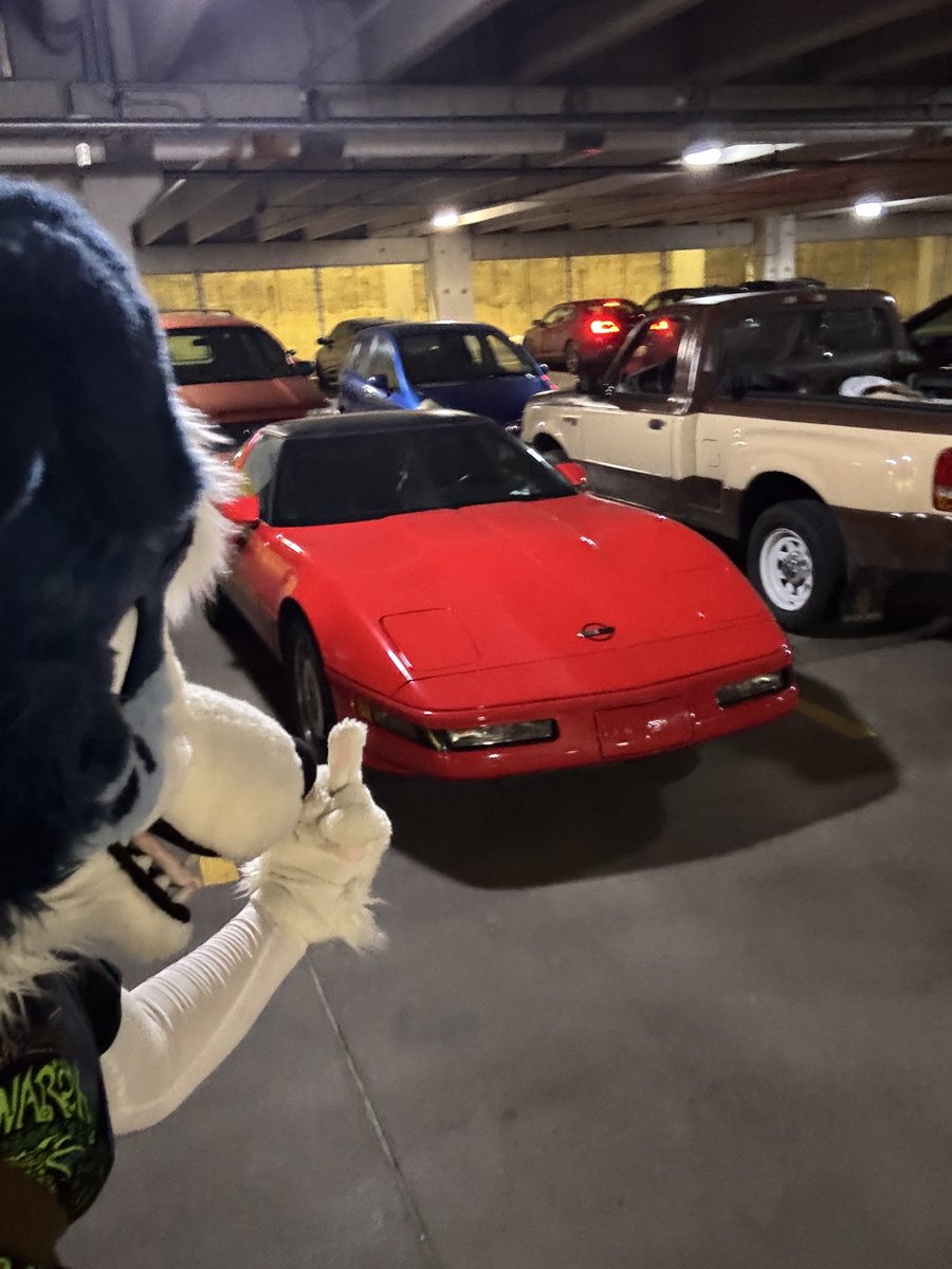 Found @SheGoesBlep’s vette and I gotta say seeing it parked next to my Fiero makes the Fiero look even better
