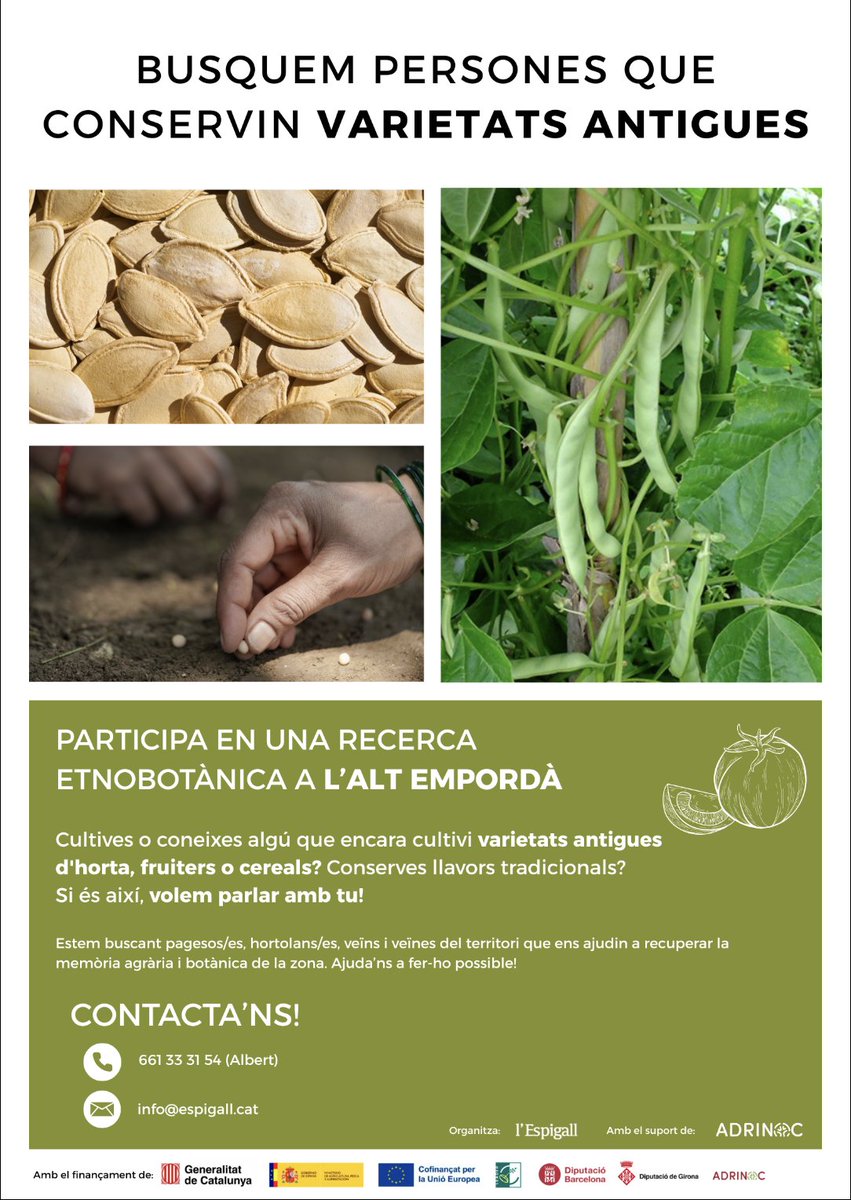 L'Espigall tweet media