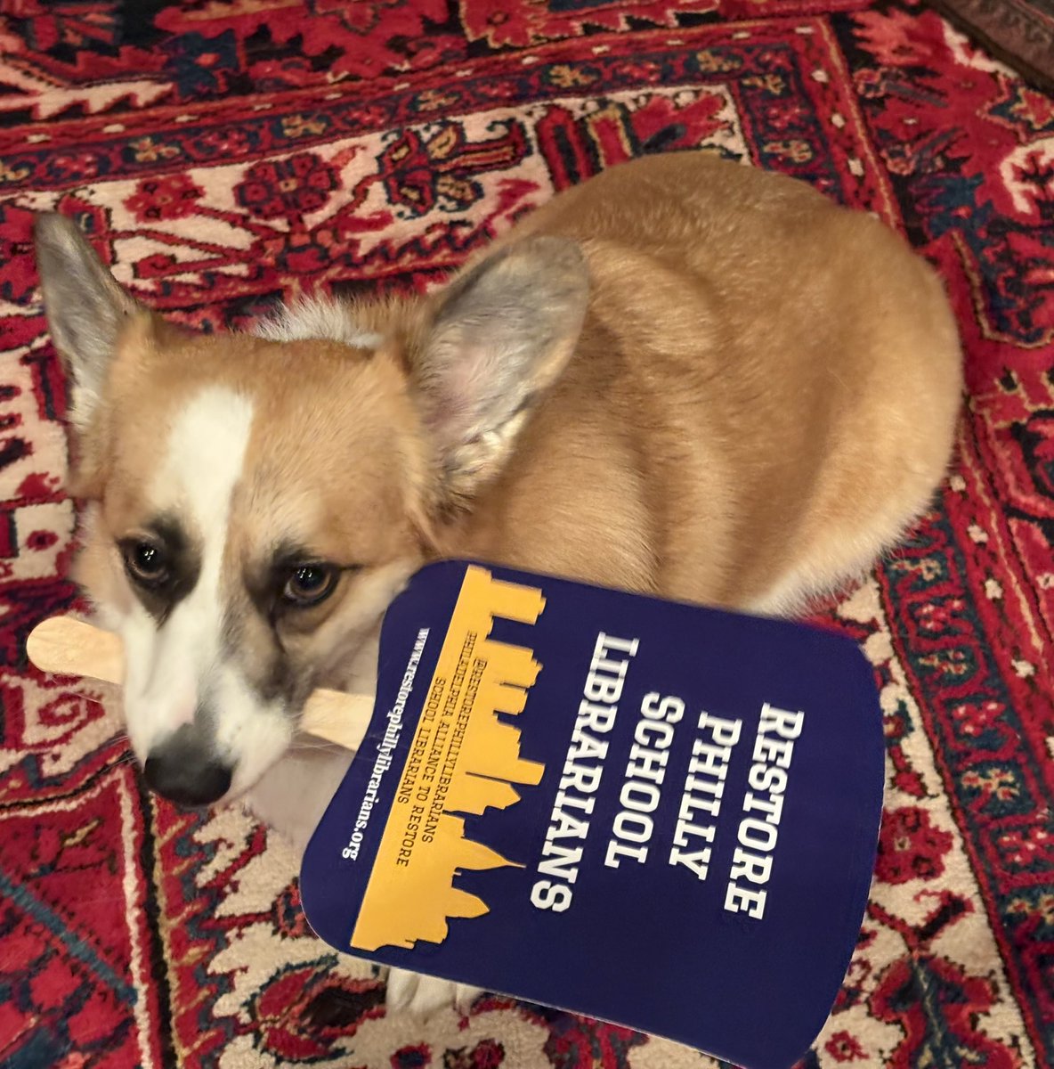 LMS_United's tweet image. Ellie believes in the power of school #librarians! Tune in to this conversation with the founders of PARSL! apple.co/3ZD0b9R