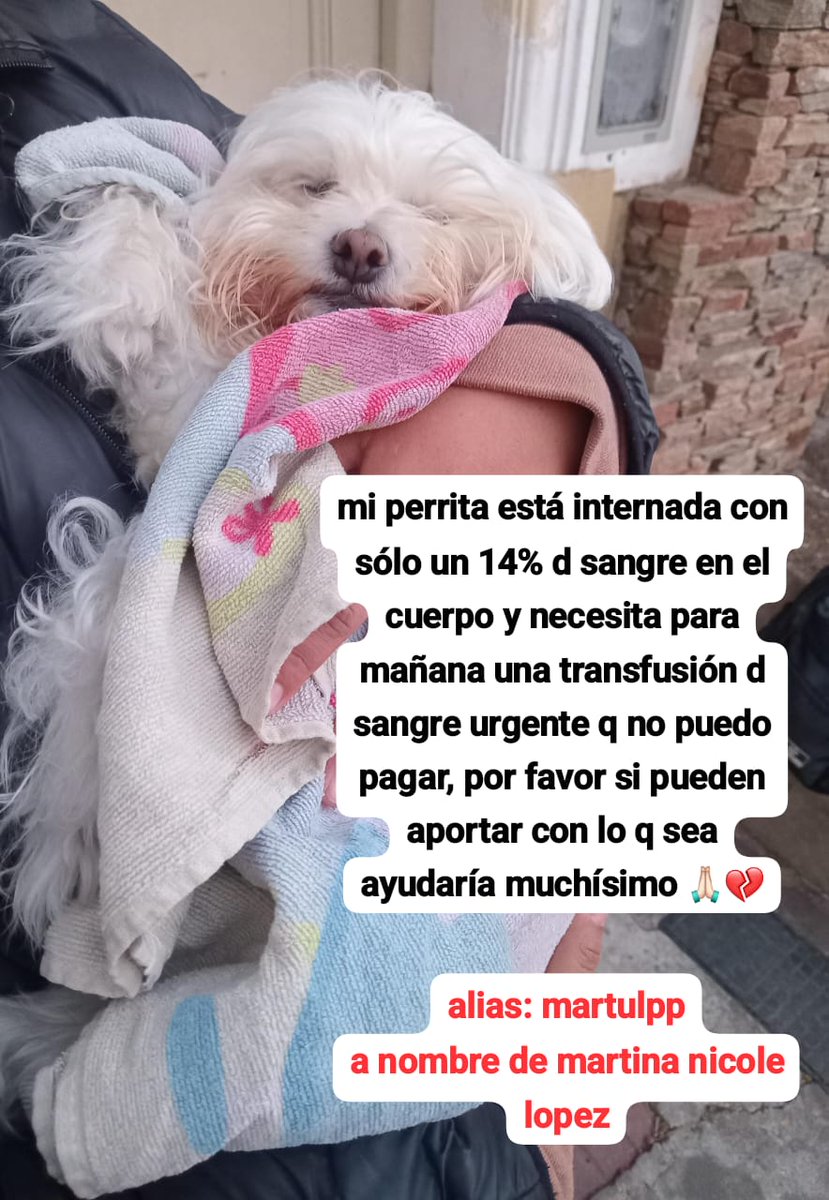 por favor ayudenme cualquier cosa q puedan aportar m sirve si no pueden colaborar con plata aunque sea háganme el favor d compartirlo