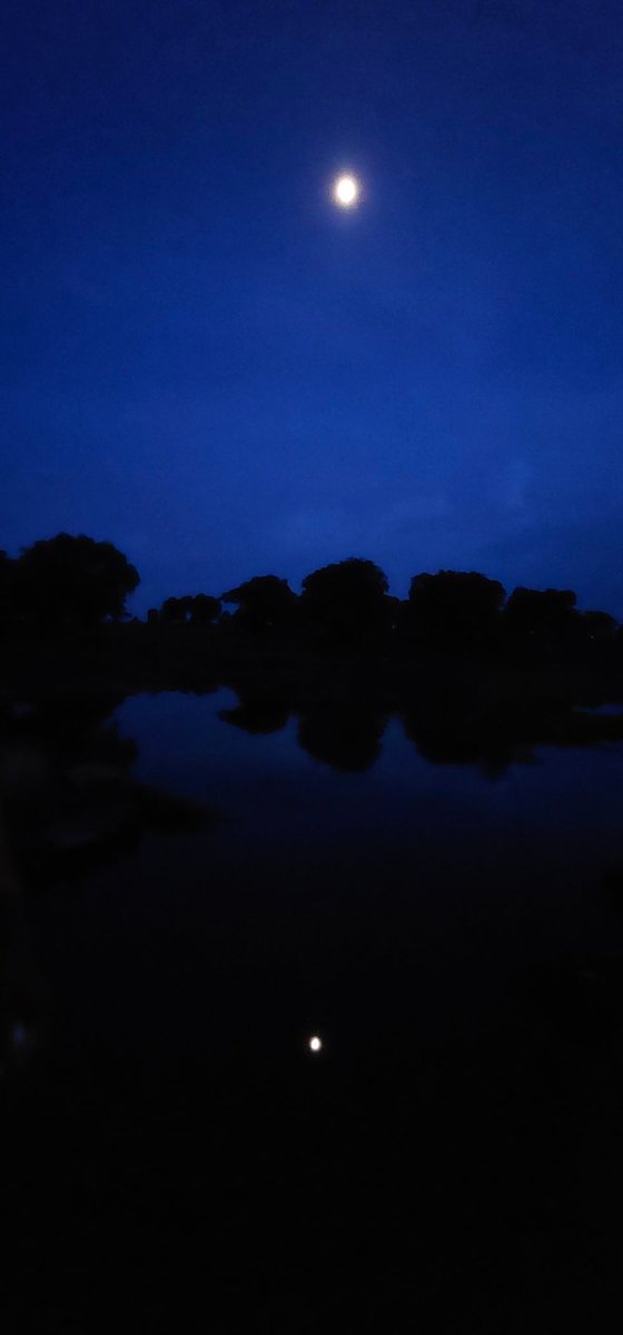 LifeisaWarr's tweet photo. मेनाल, राजस्थान
#sunset #lifeisawarr #rajasthan #menal https://t.co/hKRDM7f7ep