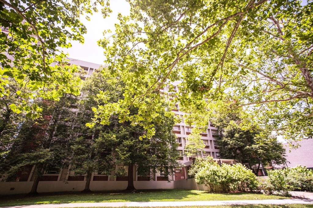 eku's tweet image. For 14 years now #EKU has been recognized as a Tree Campus by @arborday? This honors universities that nurture their trees and engage their students in conservation efforts. We’re living up to our commitment to being the #CampusBeautiful & we’re proud that people notice! 🪴🌳