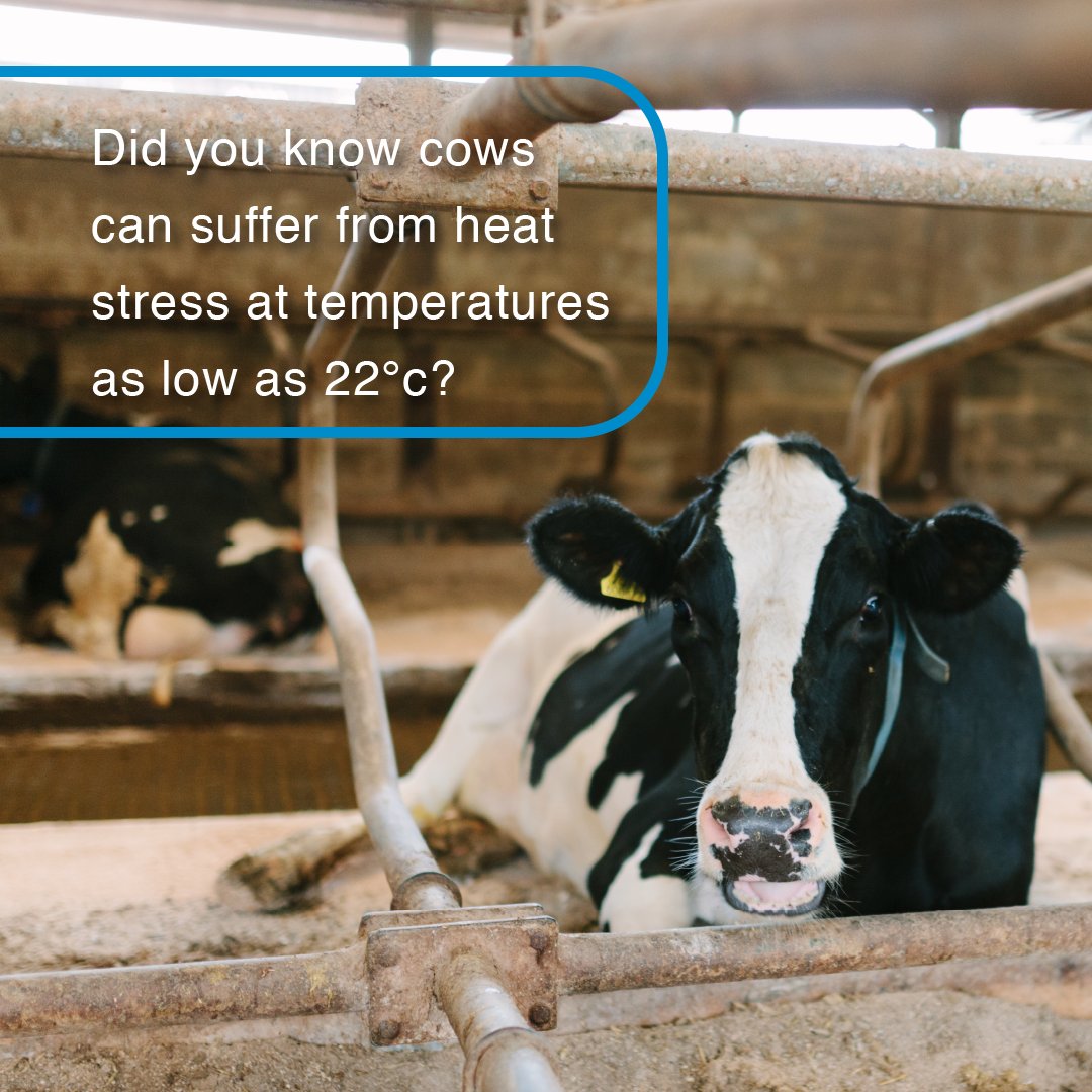 Wynnstay Group tweet media