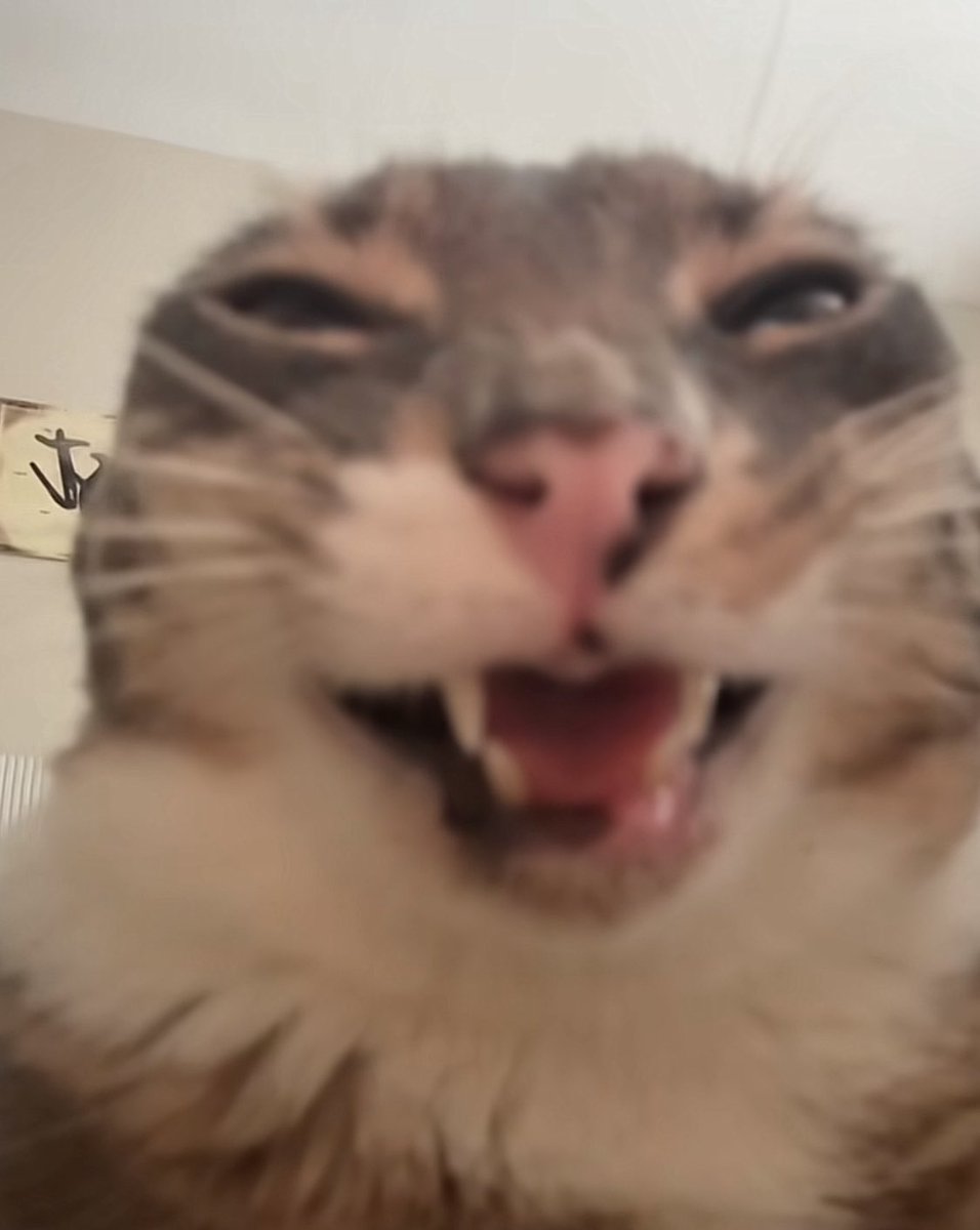 0xDEGEEN's tweet photo. Me When i see “you’re eligible to claim this airdrop” 

gBless https://t.co/U7yx7a8eML