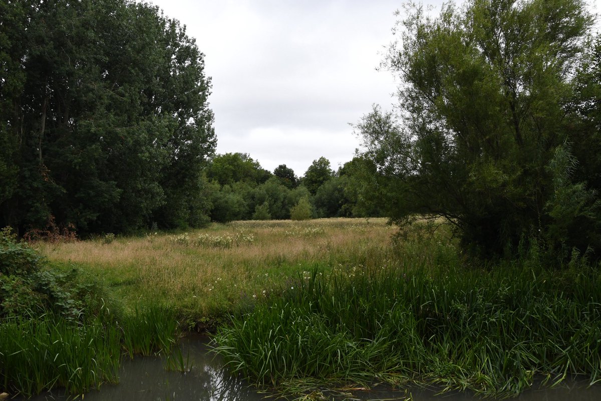 Amazing to think that this is literally in the middle of Witney.,