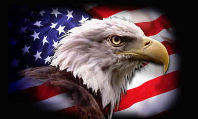 Tom_Space (@th1_thr1) on Twitter photo Follow all and repost thanks. MAGA
<a href="/Hikergirl84/">Shield~Maiden™ MSN, RN, IBCLC, RLC</a>
<a href="/KevinGills13/">Kevin 1763</a>
<a href="/sleddog32/">Sleddog32</a>
<a href="/3Tony48/">🪖💫Tony🇺🇸🇺🇸🔔💔🗳🎖 🇺🇸🇺🇸🔥⭐️</a>
<a href="/Me1aniaP/">M E L A N I A (P)</a>
<a href="/MLimpact0804/">Maureen Lopez</a>
<a href="/827js/">Jeff pontz</a>
@donald_army
<a href="/NickAdamsinUSA/">Nick Adams</a>
<a href="/WhalenMona/">Miss Mona</a>
<a href="/wlsyd149344/">وائل سعيد</a>
<a href="/USConnect2021/">USConnect</a>
@carlosthemaster
<a href="/BipulTweets/">Bipul Das</a>
<a href="/AOWMsense/">RealityRules</a>
<a href="/NurseRatchet222/">Susan Brenner</a>
<a href="/dreamy12122/">Dreamy</a>
@TweekLives
<a href="/ToniLL22/">Toni</a> Follow all and repost thanks. MAGA
<a href="/Hikergirl84/">Shield~Maiden™ MSN, RN, IBCLC, RLC</a>
<a href="/KevinGills13/">Kevin 1763</a>
<a href="/sleddog32/">Sleddog32</a>
<a href="/3Tony48/">🪖💫Tony🇺🇸🇺🇸🔔💔🗳🎖 🇺🇸🇺🇸🔥⭐️</a>
<a href="/Me1aniaP/">M E L A N I A (P)</a>
<a href="/MLimpact0804/">Maureen Lopez</a>
<a href="/827js/">Jeff pontz</a>
@donald_army
<a href="/NickAdamsinUSA/">Nick Adams</a>
<a href="/WhalenMona/">Miss Mona</a>
<a href="/wlsyd149344/">وائل سعيد</a>
<a href="/USConnect2021/">USConnect</a>
@carlosthemaster
<a href="/BipulTweets/">Bipul Das</a>
<a href="/AOWMsense/">RealityRules</a>
<a href="/NurseRatchet222/">Susan Brenner</a>
<a href="/dreamy12122/">Dreamy</a>
@TweekLives
<a href="/ToniLL22/">Toni</a>