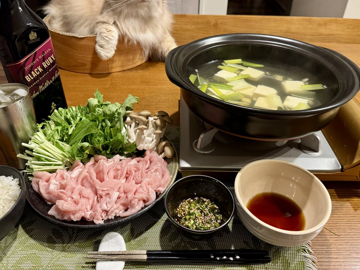 ndTu67XYaawnA2U's tweet photo. 豚しゃぶと猫達
Pork Shabu-shabu &amp; Cats
#猫 #スコティッシュフォールド #豚しゃぶ #ジョニーウォーカーブラックルビー #ハイボール 
#cat #scottishfold #porkshabushabu #johnniewalkerblackruby #highball https://t.co/MgY3Hb4hPA