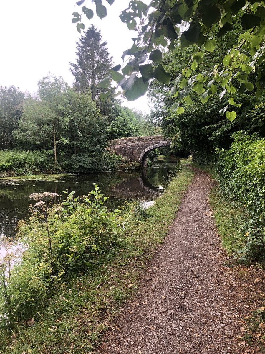 Dan Worsley (@dan__worsley) on Twitter photo Leeds-Liverpool full of life on my ride this morning 🦢 🚴 Lucky to have a stunning route close to home 🤩 <a href="/CanalRiverTrust/">Canal & River Trust</a> #Blackrod #Adlington #Wigan Leeds-Liverpool full of life on my ride this morning 🦢 🚴 Lucky to have a stunning route close to home 🤩 <a href="/CanalRiverTrust/">Canal & River Trust</a> #Blackrod #Adlington #Wigan