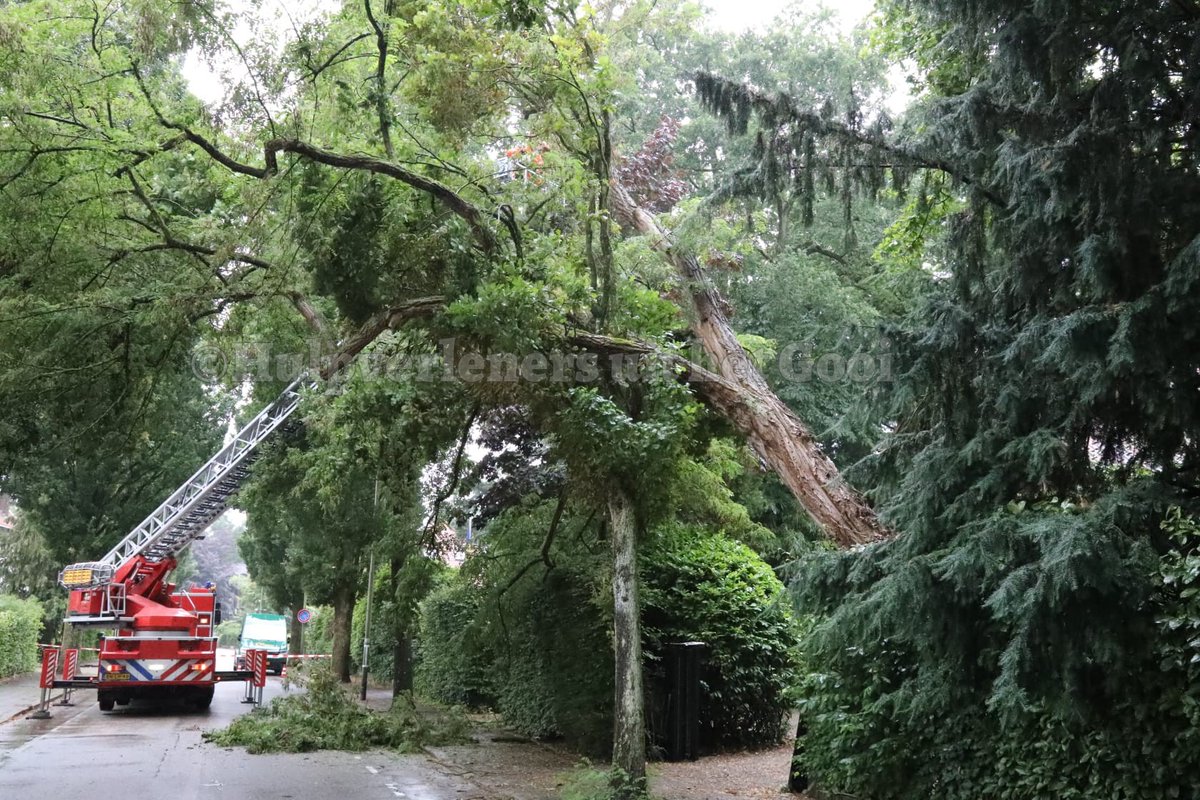 Brandweer in Bussum verwijdert omgevallen boom