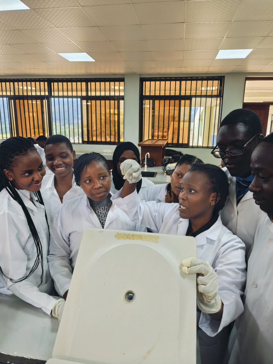gsclaboratory's tweet photo. 🔬 Hands-on Molecular Biology at GSC-SUA!  
Hosted SJUT students for molecular biology techniques training. 

✅ We offer:  
• Short courses (2 days to 2 weeks)  
• Project support &amp; supervision  
• Modern lab facilities  
• Group/individual bookings  
  
📩 DM to book! https://t.co/mT2HaQ5DUE