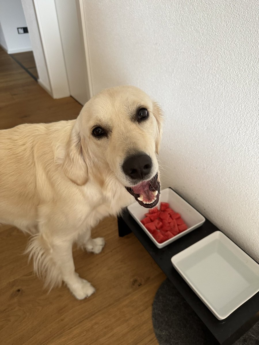 <a href="/angerannt/">jana</a> Gumo von Mali