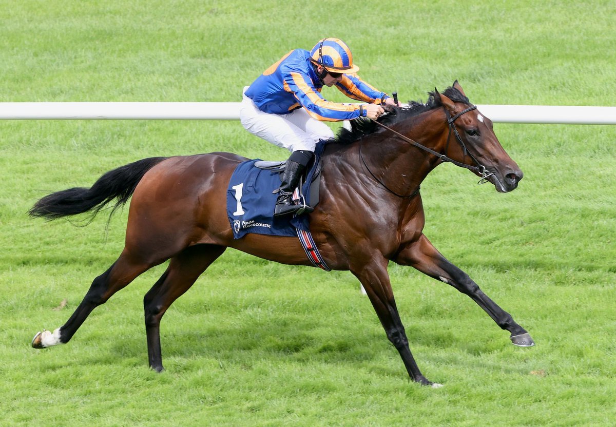 Wootton Bassett Colt Stays Perfect On Stakes Debut.
Daytona (2c Wootton Bassett – Detailed, by Motivator) followed up last month’s smart debut win with an even... bit.ly/3IvnkED