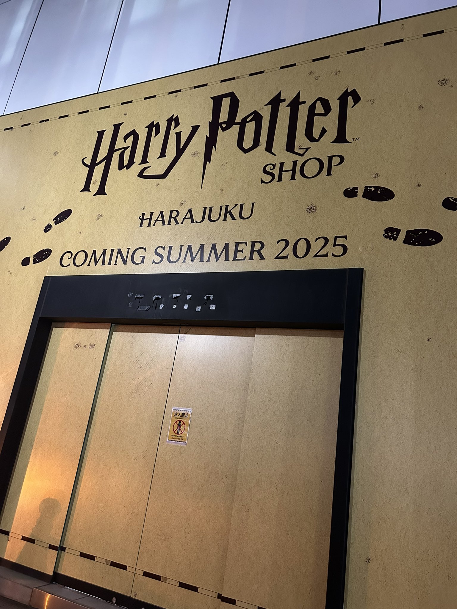 着払限定☆断捨離☆激レア☆ハリーポッター☆秘密の部屋☆特殊反転両面印刷☆ポスター 着払限定☆断捨離☆激レア☆ハリーポッター☆秘密の部屋☆特殊